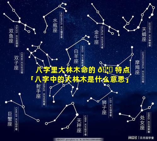 八字里大林木命的 🦅 特点「八字中的大林木是什么意思」